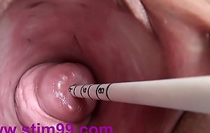 Extreme real cervix fucking insertion japanese sounds and objects nigh uterus